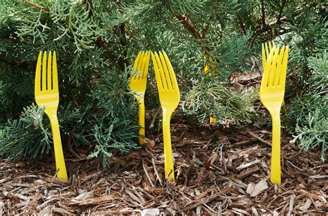 10 Seriously Useful Gardening Tips For Beginners