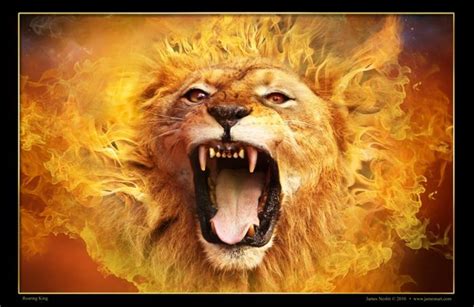 Lion Collection Prophetic Art Lion Of Judah Judah And The Lion