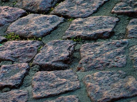 Free Images Rock Wood Texture Sidewalk Cobblestone Pavement