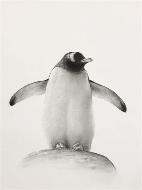 Almost Finished This Penguin Drawing Charcoal On Paper Drawing