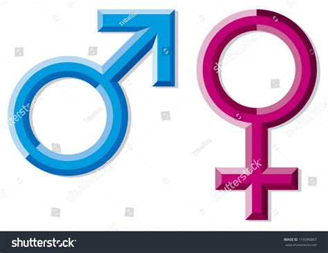 Male Female Gender Symbols Stock Vector Royalty Free