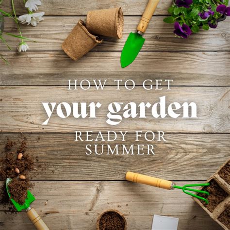 How To Get Your Garden Ready For Summer Hamlet Homes Warrington
