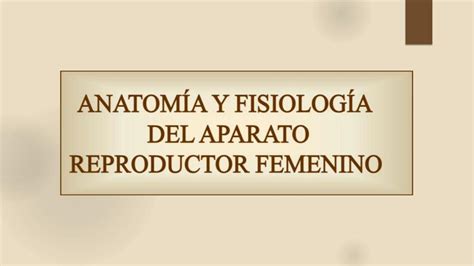 Anatomia Y Fisiologia Del Aparato Reproductor Femenino Enfermeria Udocz