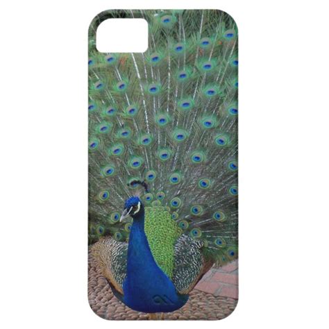 Peacock Iphone 5 Case Zazzle