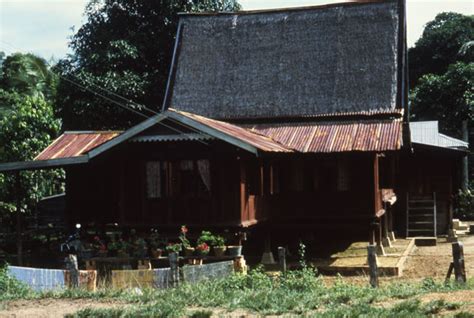 Corrugated Iron Thai