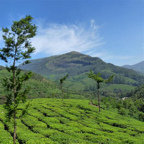 Anamudi Peak Munnar All You Need To Know Before You Go