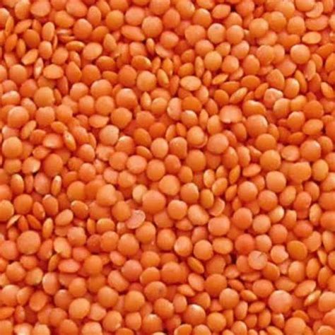 Red Masoor Dal High In Protein Packaging Size 30 Kg At Rs 75kg In