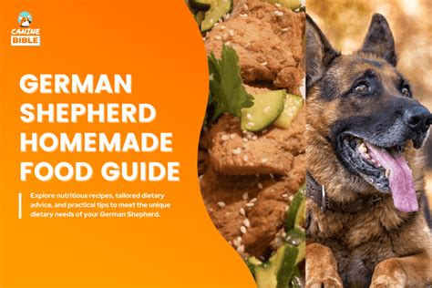 German Shepherd Homemade Food Recipes And Diet Puppy And Adult Canine Bible