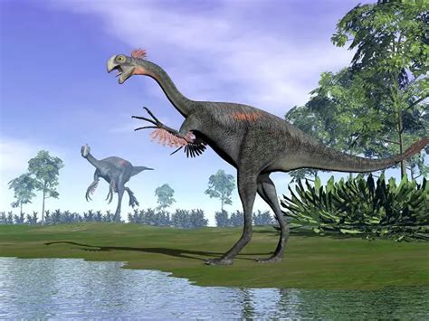 What Was The Biggest Omnivore Dinosaur Dinosaur Facts For Kids
