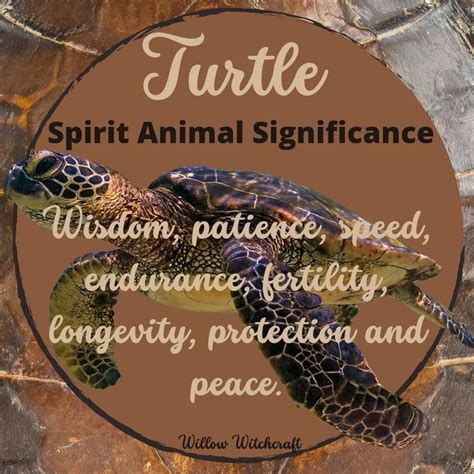 Turtle Spirit Animal Significance In 2023 Spirit Animal Spirit