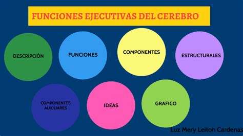 Funciones Ejecutivas Del Cerebro By Luz Mery Leiton Cardenas On Prezi Next