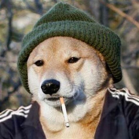Stream Slavic Doge Music Listen To Songs Albums Playlists For Free
