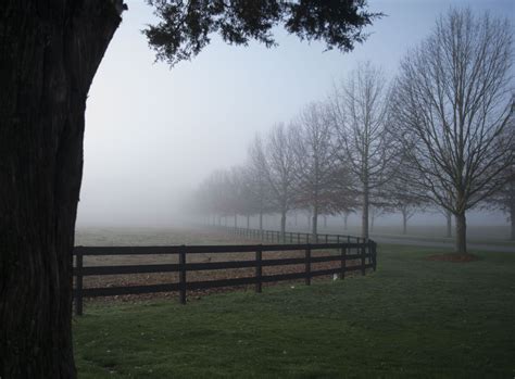 A Foggy Morning On Bertrand Way Photo By Student Photographer Olivia