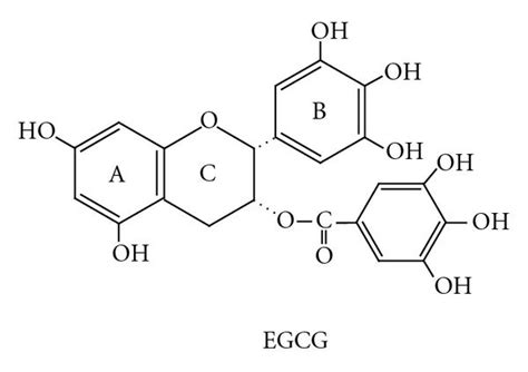 Chemical Structure Of − Epigallocatechin 3 Gallate Egcg Contains
