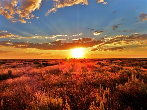 Hd Wallpaper Grass Field During Sunset South Africa Namibia Sunrise