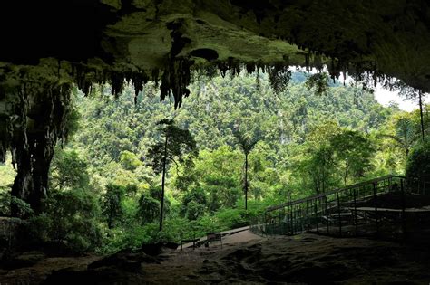 Niah Caves Pierwsza Wizyta W Dżungli Gdzie Indziej