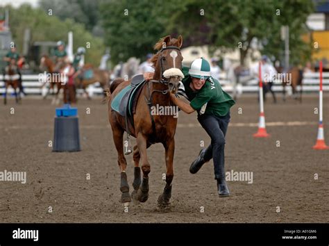 Mounted Games High Resolution Stock Photography And Images Alamy