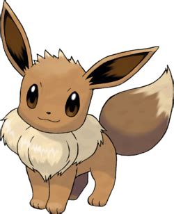 Statistiques, faiblesses, attaques apprises, talents et types, position dans les usages. Évoli — Poképédia