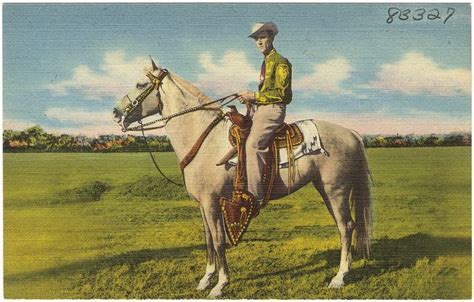 Vintage Postcard Showing A Man Riding A Horse Vintage Postcard