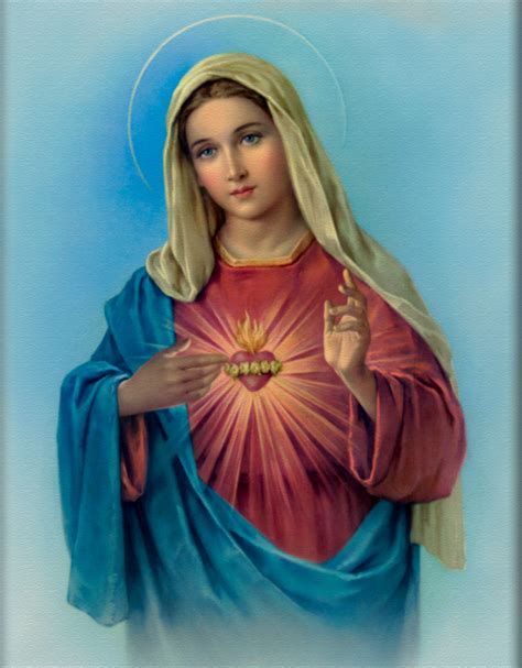 Infallible Catholic The Blessed Virgin Mary The New Ark Of The Covenant