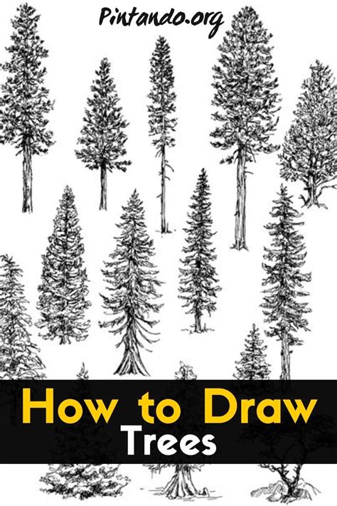 How To Draw Trees Step By Step
