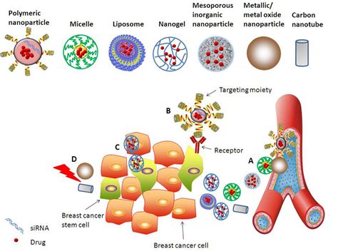 Frontiers Nanomedicine Mediated Therapies To Target Breast Cancer