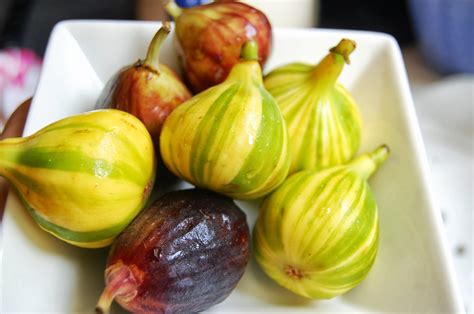 Dailydishin Fresh Figs With Lemon Cream