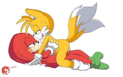 Rule 34 Anal Duo Fur Furry Tail Knuckles The Echidna Male Male Only Multiple Tails Senshion