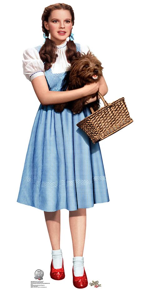 Outfit Inspired By Dorothy From The Wizard Of