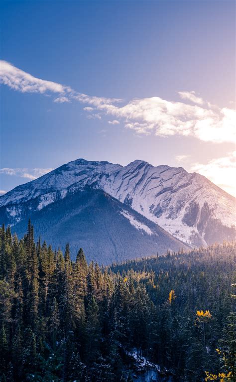 Download Wallpaper 950x1534 Banff National Park Mountains Forest