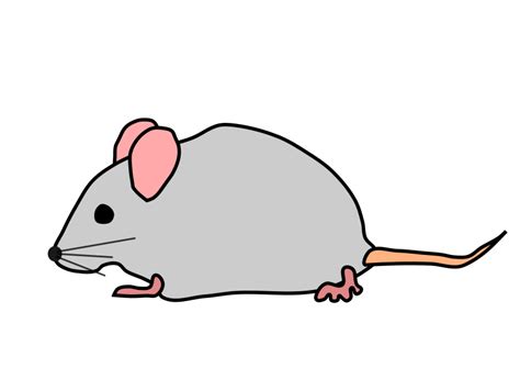 Free Rodent Cliparts Download Free Rodent Cliparts Png Images Free