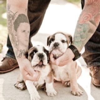 Is it normal for the english bulldog puppy to shed heavily? Tattoos and puppies. Too much to handle. | Cute puppies ...