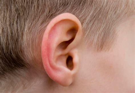 Chronic Ear Infections Ent Doctor Ear And Tinnitus Specialist