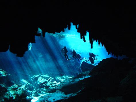 Cave Diving Cavern Diving In Cenotes In Playa Del Carmen And Tulum