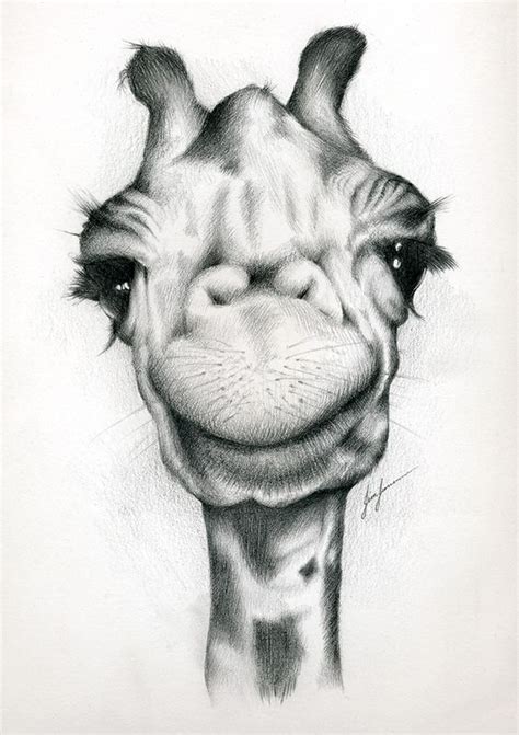 111 Fun And Cool Things To Draw Right Now Animal Drawings Giraffe