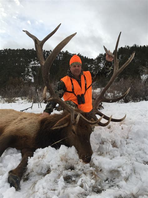 Colorado Unit 20 Private Land Late Rifle Elk Dec And Jan Worldwide