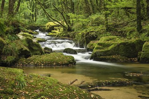 Stunning Landscape Iamge Of River Flowing Through Lush Green For Stock
