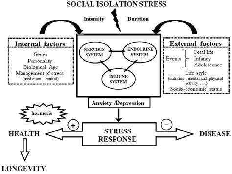 Factors That Influence The Stress Response Psychological Stressors Download Scientific Diagram