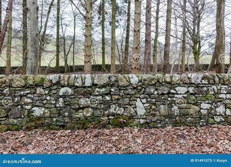 Old Natural Stone Fence In Countryside In Scotland Stock Image Image
