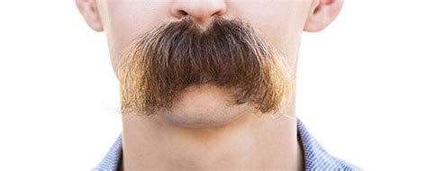 7 tipos de bigote cuál te gusta Blog Druni