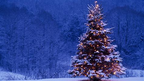 Merry Christmas Holiday Winter Snow Beautiful Tree T