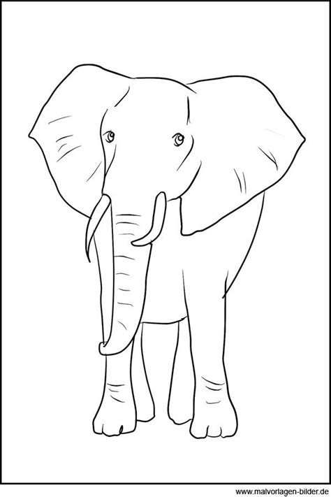 Referat elefant bilderzum ausmalen / das grosste und schwerste tier der welt nube : ausmalbild-elefant.jpg (600×900) | Elefant applikation ...