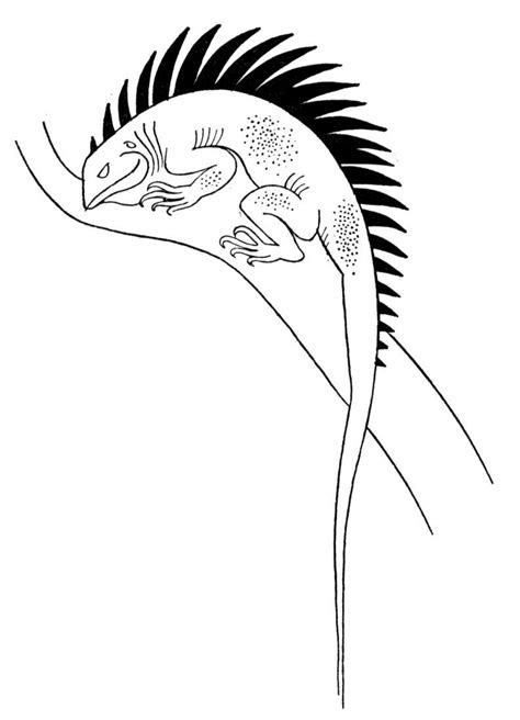 Click on the free jungle book colour page you would like to print, if you print them all you can make your own disney coloring book! Monitor lizard coloring pages download and print for free