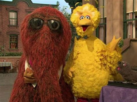 Sesame Street Big Bird And Snuffy Talent Show Tv Episode 2008 Imdb