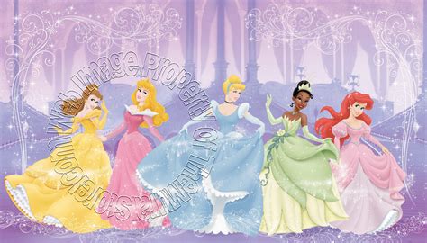Disney Perfect Princess Wall Mural By Roommates Mid Size Wall Murals