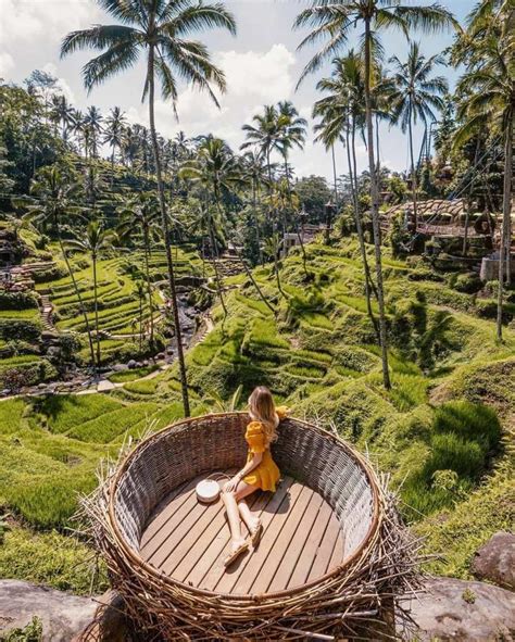 Tegalalang Rice Terrace How To Make The Most Out Of This Place Miss Nauti Tales Bali Rice