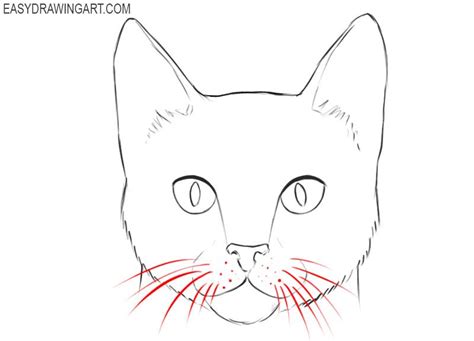 How To Draw A Cat Face Easy Drawing Art Cat Face Drawing Dog