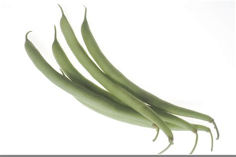 Free String Bean Clipart Free Images At Vector Clip Art