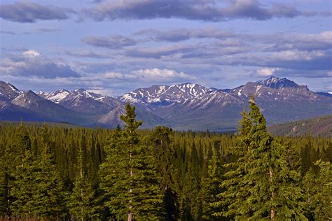 Stop to view denali national park landmarks such as otto lake, healy valley, and the alaska range, and look for wildlife such as moose. Photo Essay: Denali National Park | Travel, Photography, and Other Fun Adventures