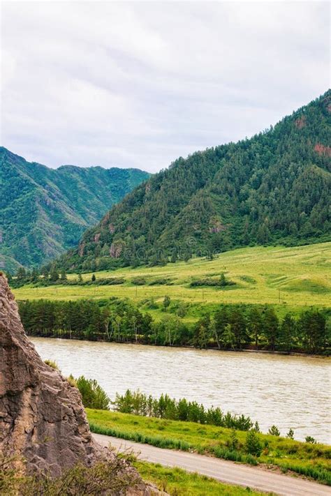 Nature Of Altai Mountains With Katun River Siberia Stock Image Image